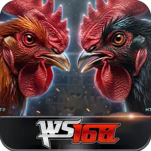 WS168